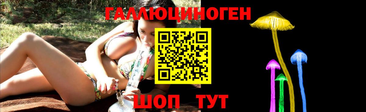 Галлюциногенные грибы Psilocybe  Галлюциногенные грибы Psilocybe  Богданович  цена   Вход с VPN 